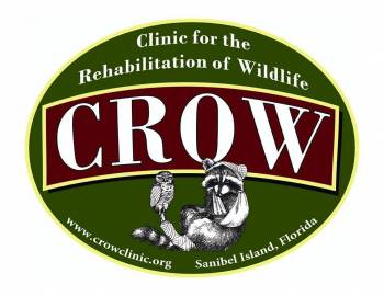 CROW Clinic logo