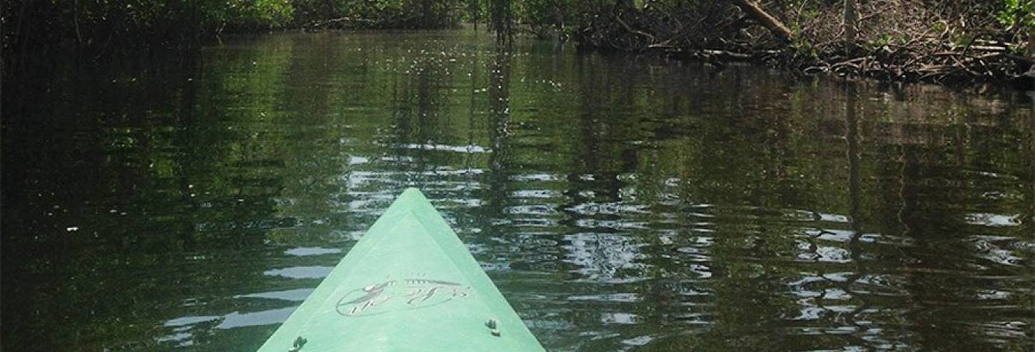 Tarpon Bay Explorers Kayak