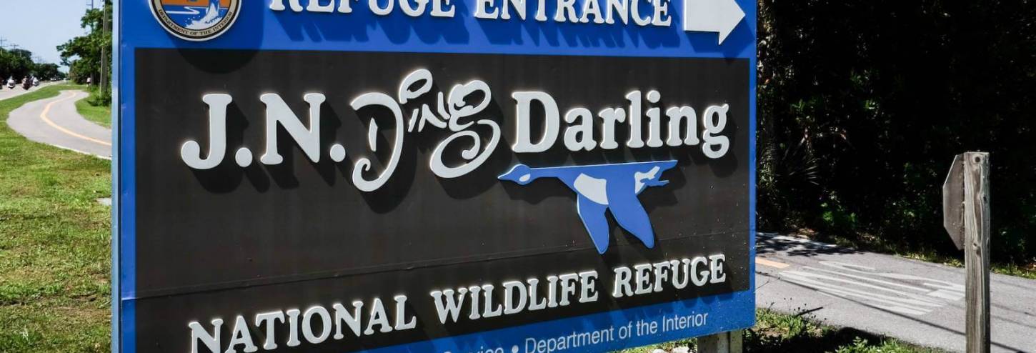 Ding Darling sign