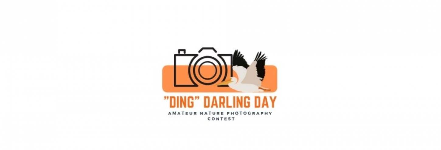 JN "Ding" photo contest logo, white