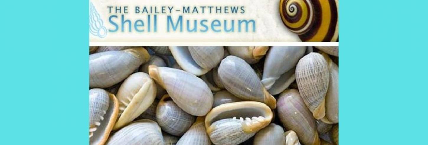 Baileys Mathews National Shell Museum App