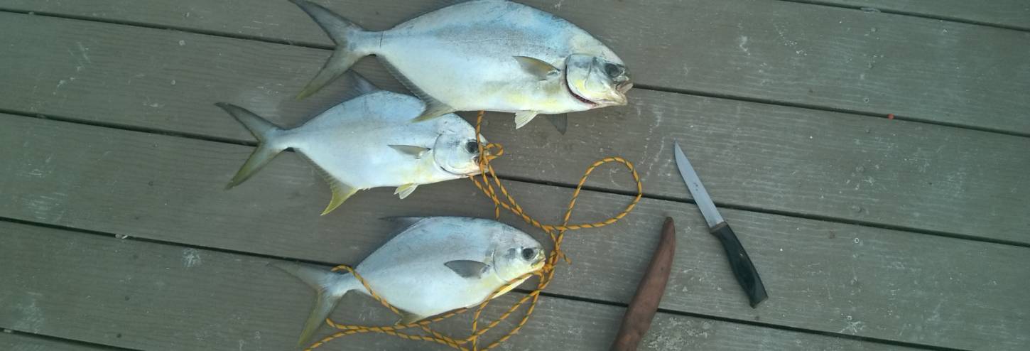 Sanibel Island Fishing