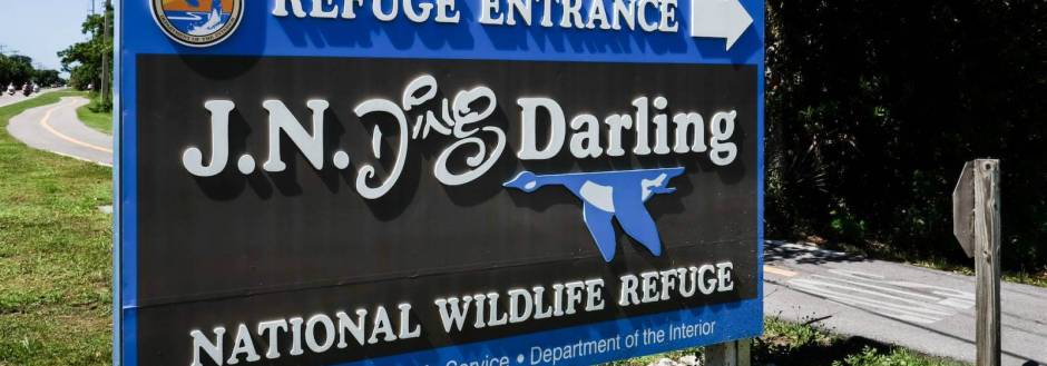 JN "Ding" Darling road sign