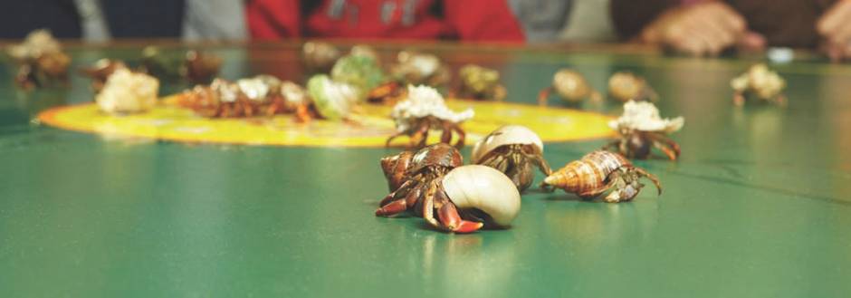 Tween Waters Crab Races