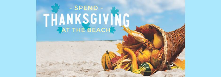 Volunteer for thanksgiving greenville sc