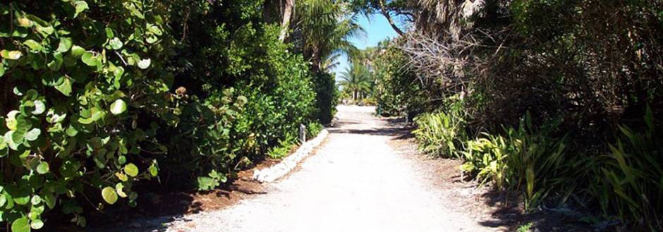 Secluded island walking path 