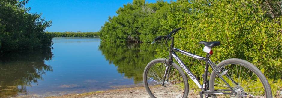 Bicycle in Ding Darling