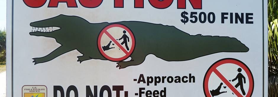 Caution: Do not feed, harass or approach 