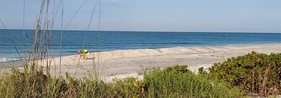 Sanibel shell pile