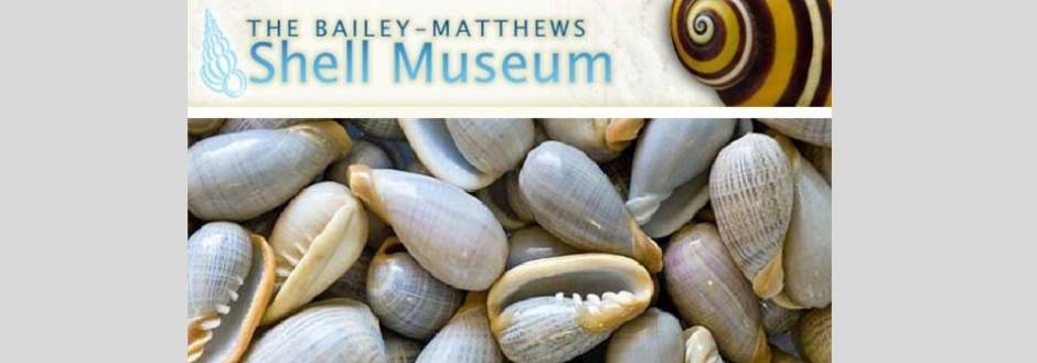 Bailey Matthews Shell Museum