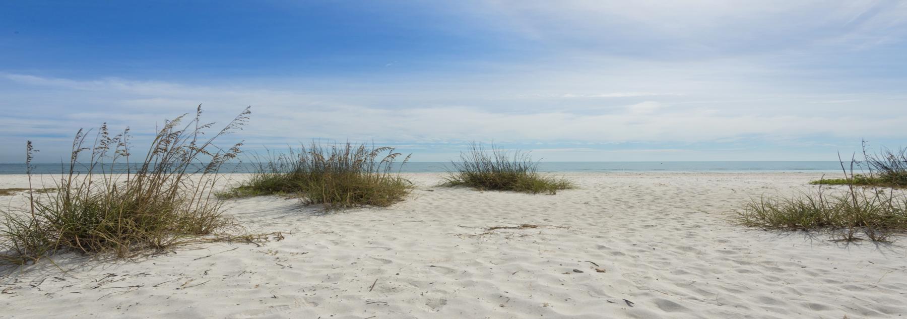 Sanibel Beach and greenery 