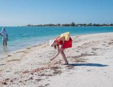 Lady doing "Sanibel Stoop" on shoreline