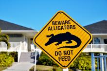 Beware Alligators sign