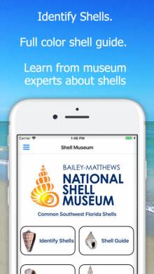 Baileys Mathews National Shell Museum App