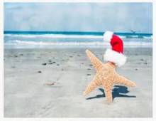 Starfish on Beach with Santa hat