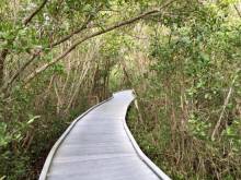 Sanibel Lighthouse walkway through the trees