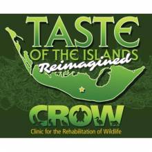 Taste of the Islands Reimagined 2020