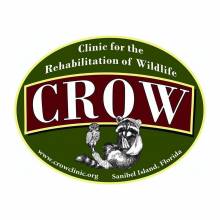 CROW Clinic logo