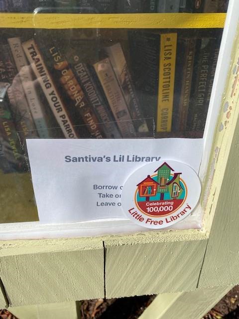 Santiva's Lil Library