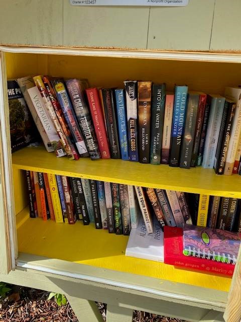 Little Free Library selections