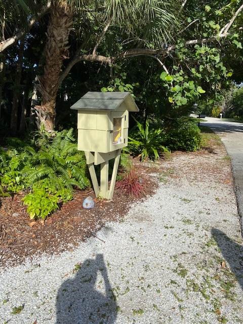 Little Free Library 