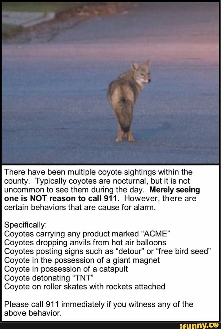 Coyote sighting protocol 