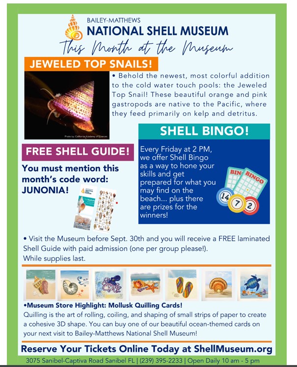 Bailey Matthews Shell Museum Flyer