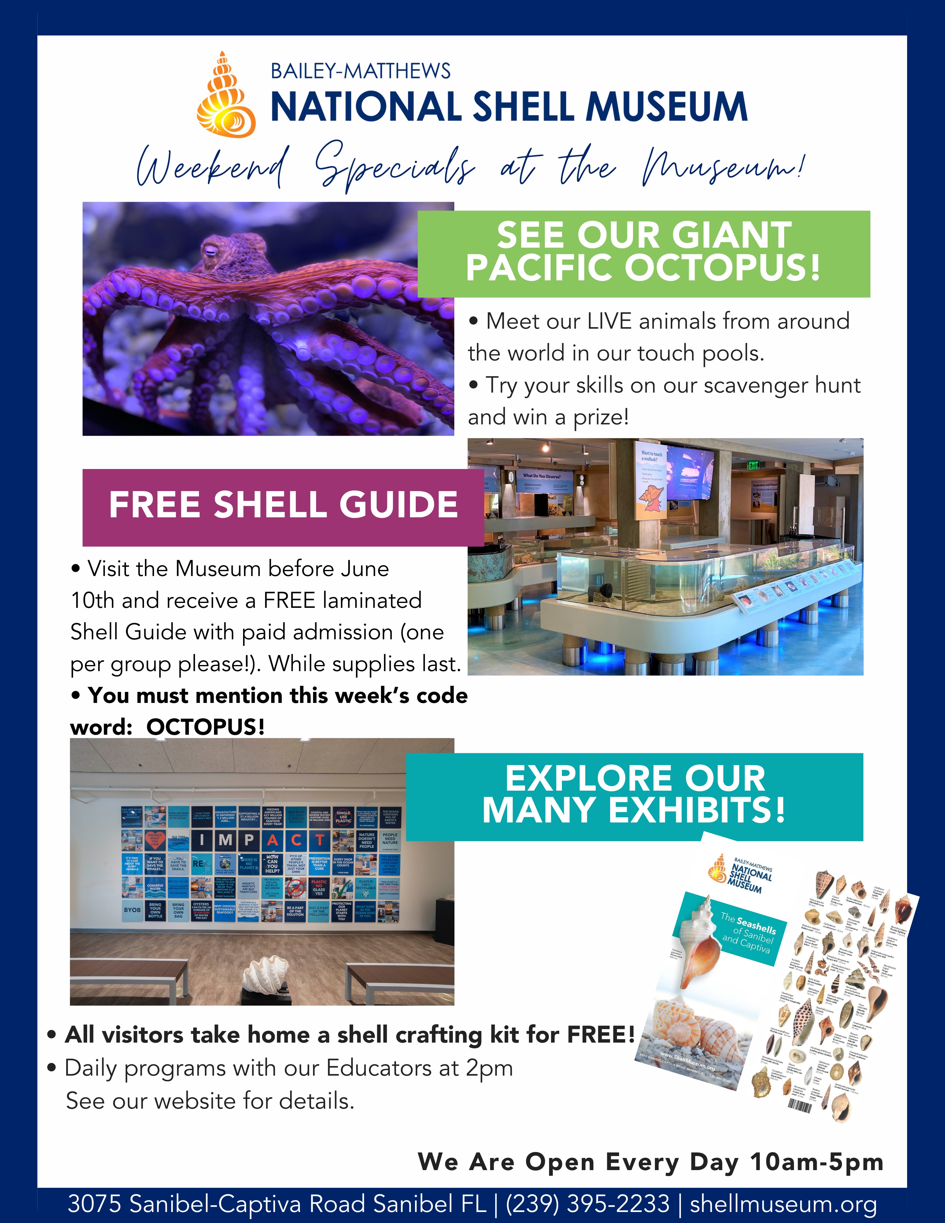 Bailey Matthews Shell Museum Flyer