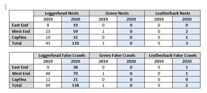 Turtle nest count