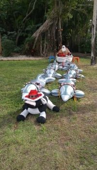 Santa and his eight flying dolphins (led by The Island Cow) at The Island Cow