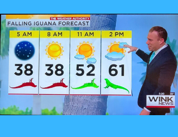 Wink News Iguana Forecast